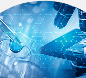 公司生產規(guī)模